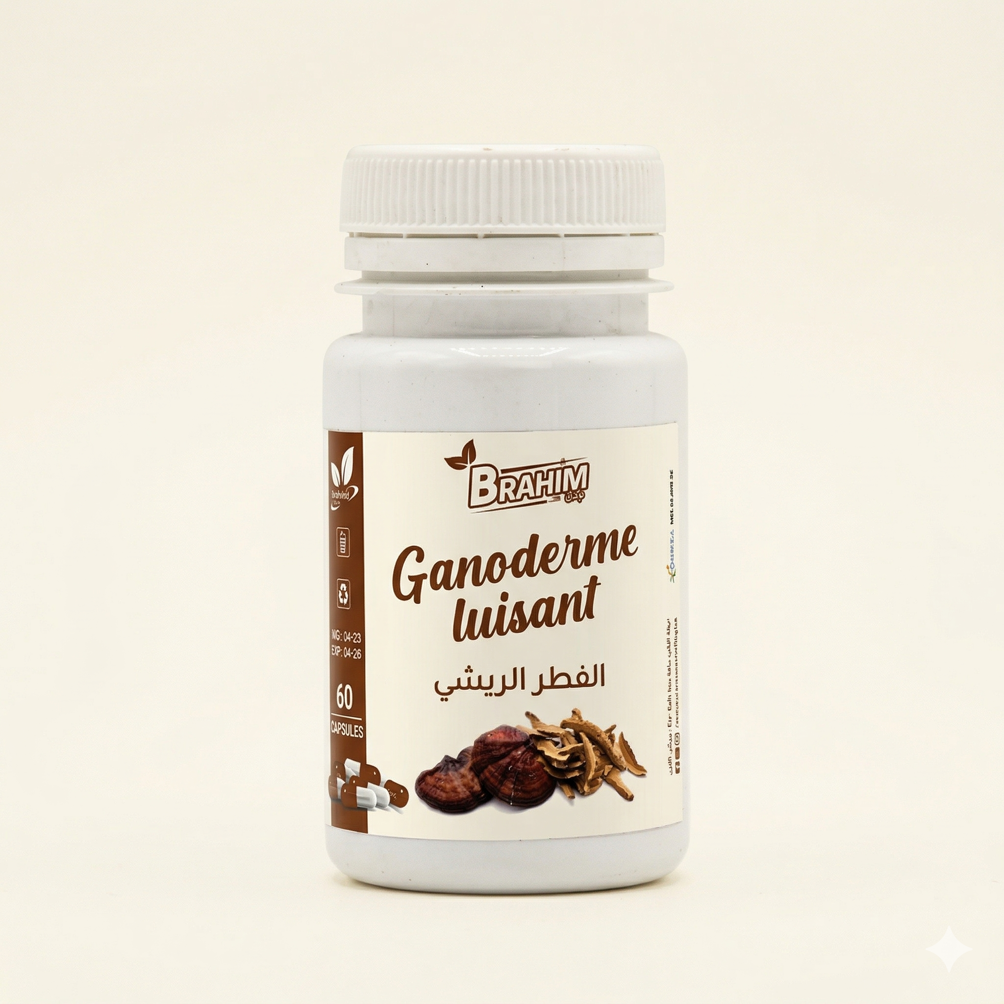 الفطر الريشي